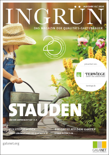 Ingrün 01/2020