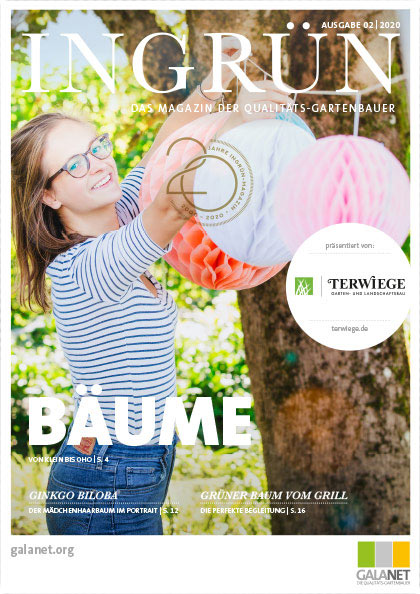 Ingrün 02/2020