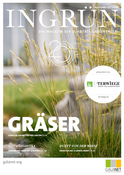 INGRÜN 03/2020